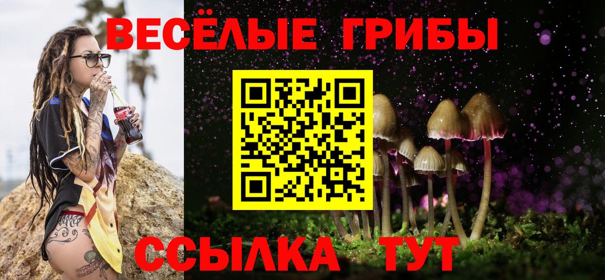 Галлюциногенные грибы Magic Shrooms Новоалтайск