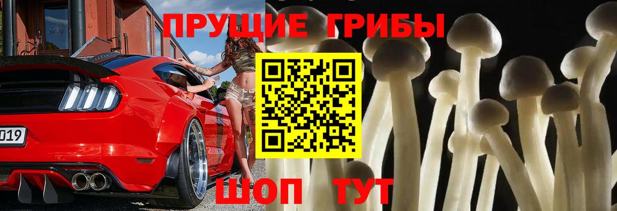 Псилоцибиновые грибы ЛСД  Вход с VPN  Новоалтайск  Псилоцибиновые грибы GOLDEN TEACHER 